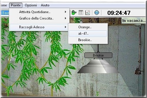 Coltivare marijuana al Computer